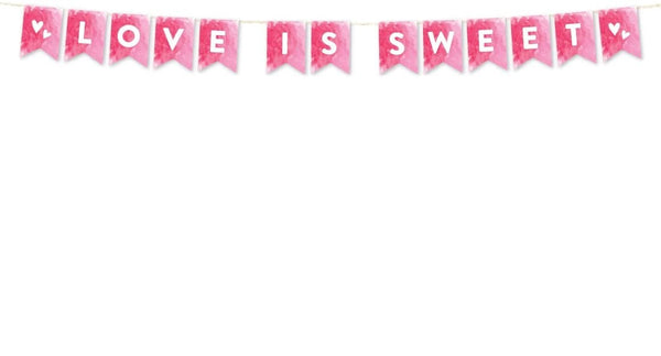 Pink Hanging Pennant Party Banner With String