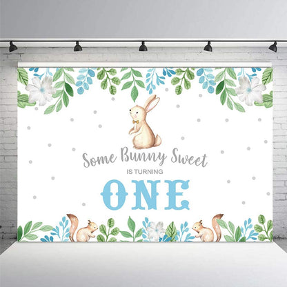 Some Bunny Is One Birthday Party Backdrop
