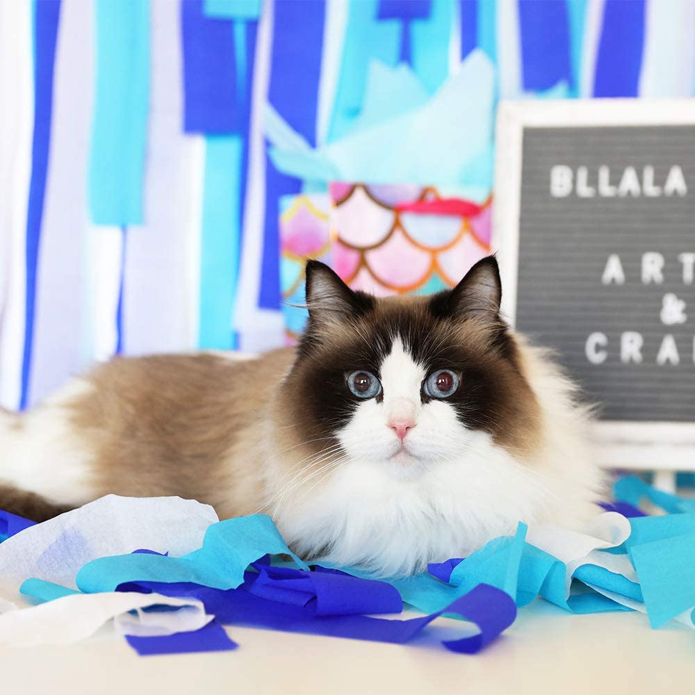 White , Light Blue And Dark Blue Crepe Paper Streamer
