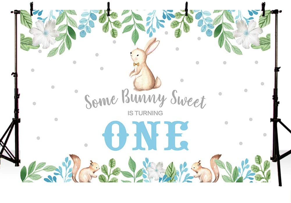 Some Bunny Is One Birthday Party Backdrop