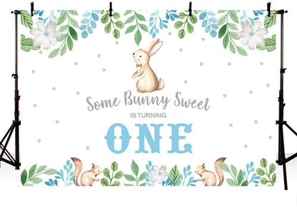 Some Bunny Is One Birthday Party Backdrop