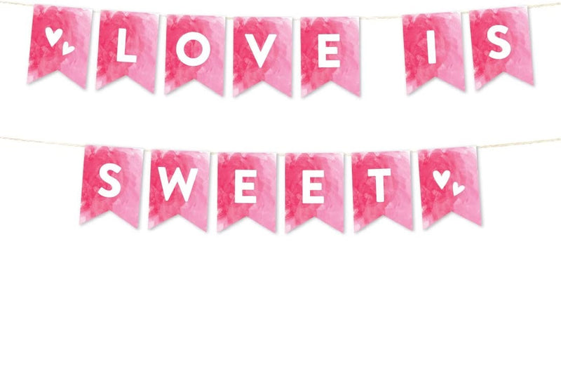 Pink Hanging Pennant Party Banner With String