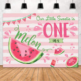 One In A Melon Theme Birthday Party Backdrop 