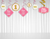 One is Fun First Birthday Party Hanging Set for Decoration