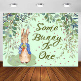 Some Bunny Is One Birthday Party Backdrop