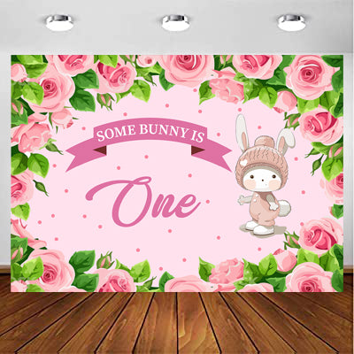 Some Bunny Is One Birthday Party Backdrop