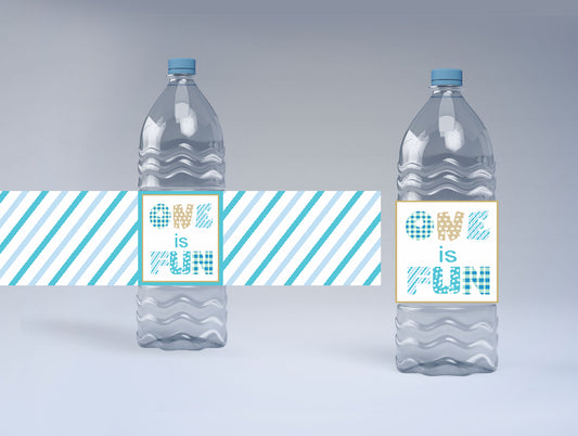 Fun Is One Theme Water Bottle Labels  