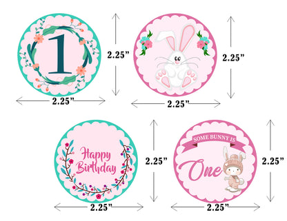 Some Bunny Is One Birthday Party Cupcake Toppers for Decoration