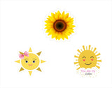 Sunshine Theme Birthday Party Hanging Set for Decoration