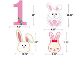 Some Bunny Is One Birthday Party Theme Hanging Set for Decoration