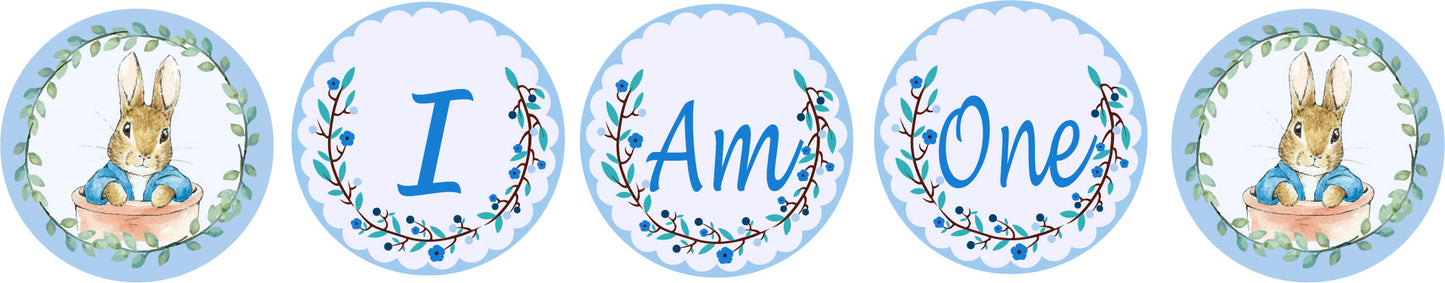 Some Bunny Is One I Am One Banner Birthday Decoration