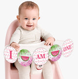 One In A Melon Theme Birthday Party Banner for Decoration