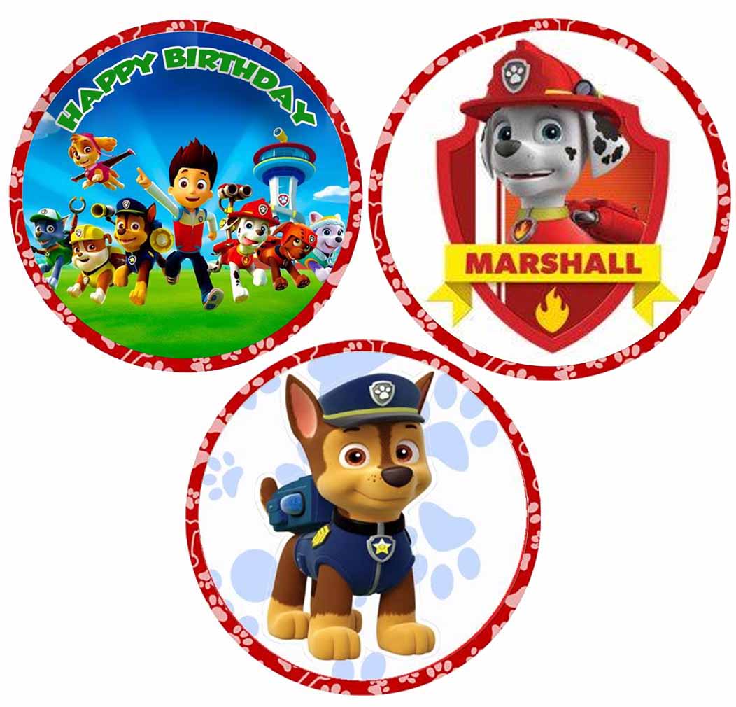 Paw Patrol Theme Birthday Party Straws