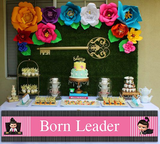 Boss Baby Girl Theme Birthday Party Long Banner for Decoration