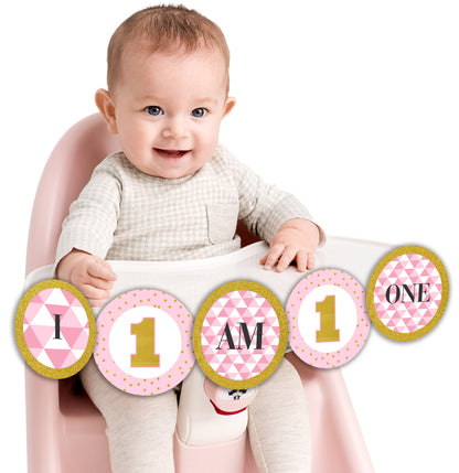 One Is Fun First Birthday Party Banner for Decoration