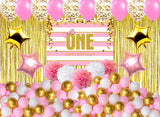 One is Fun First Birthday Party Decorations Complete Set