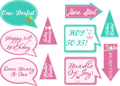 Some Bunny Is One Birthday Party Photo Booth Props Kit