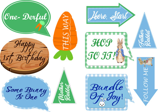 Some Bunny Is One Birthday Party Photo Booth Props Kit