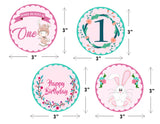 Some Bunny Is One Birthday Party Paper Decorative Straws