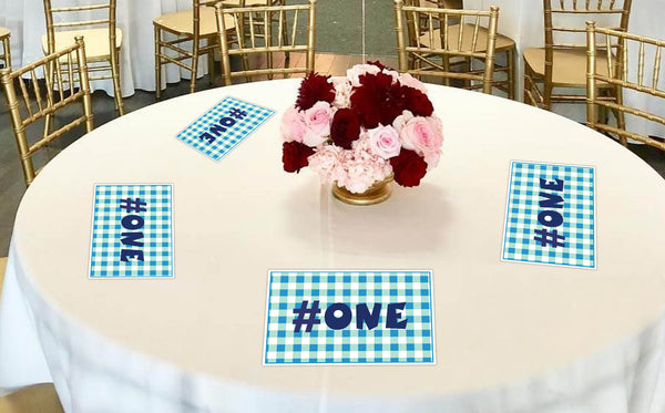One Is Fun  Birthday Table Mats for Decoration