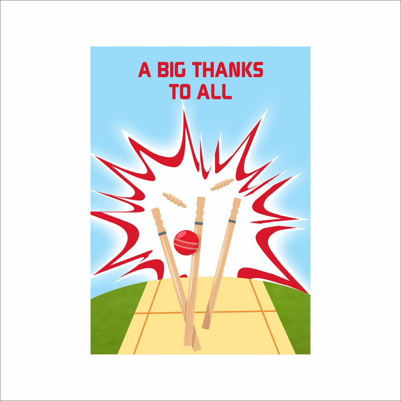 Cricket Theme Birthday Party Thank You Gift Cards