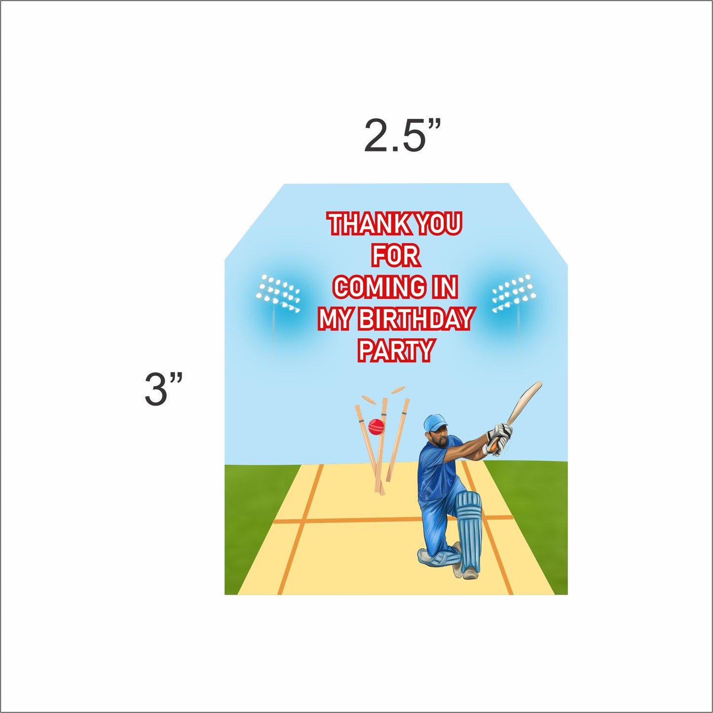 Cricket Theme Birthday Party Thank You Gift Tags