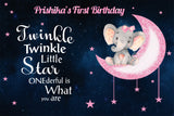Personalize Twinkle Twinkle Little Star Birthday Backdrop Banner