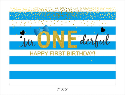 One Is Fun Birthday Party Backdrop Banner Boys Birthday Party