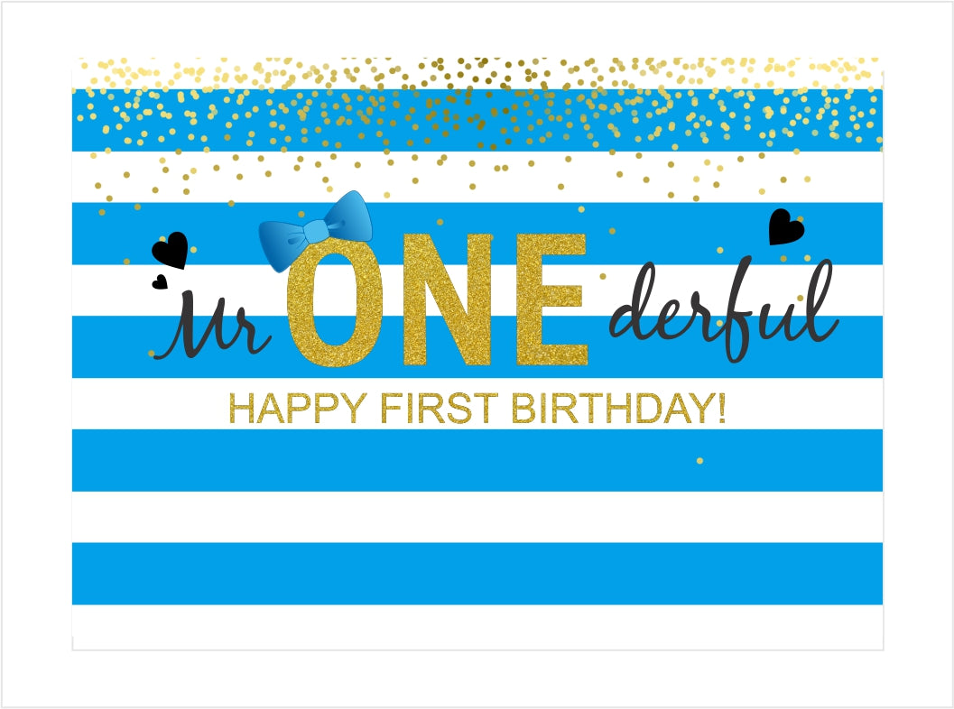 One Is Fun Birthday Party Backdrop Banner Boys Birthday Party