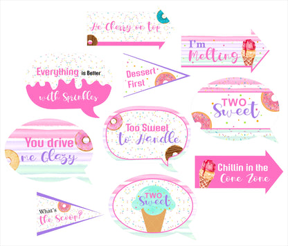 Two Sweet Theme Birthday Party Photo Booth Props Kit