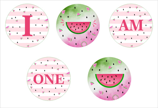 One In A Melon Theme Birthday Party Banner for Decoration