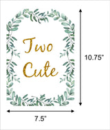Twins Baby Theme Birthday Party Theme Hanging Set for Decoration 