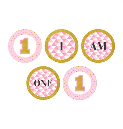 One Is Fun First Birthday Party Banner for Decoration