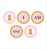 One Is Fun First Birthday Party Banner for Decoration