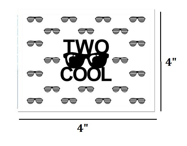 Two Cool Theme Birthday Party Complete Decoration Kit 