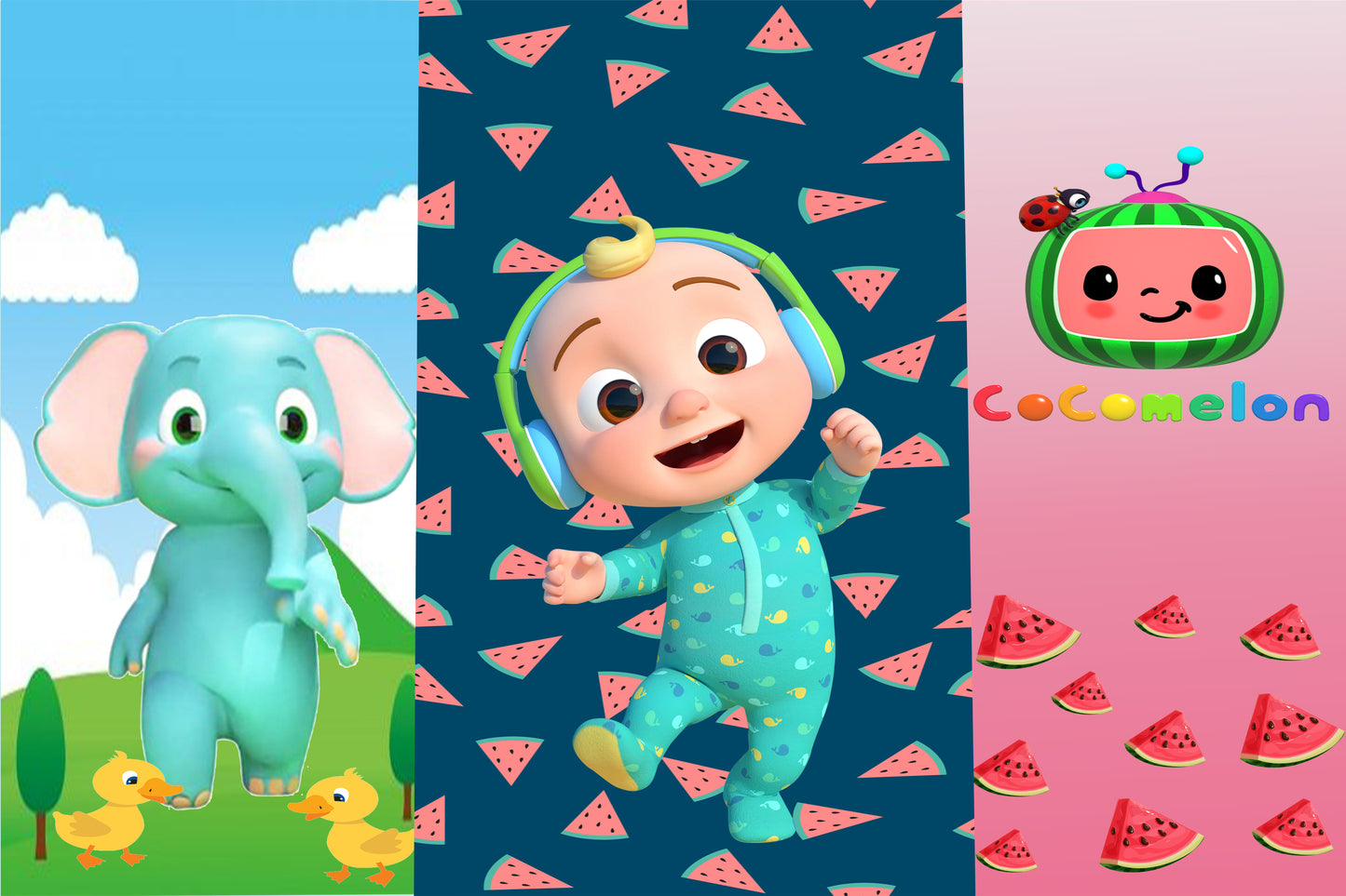 Cocomelon Theme Birthday Party Backdrop